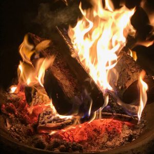 picture of fire with herbs & flowers